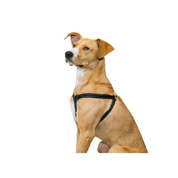 Premier Pet No Pull Step-In Harness, Black, Medium