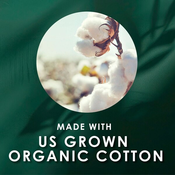 L. Organic Ultra Thin Panty Liners, Extra Long, 80 CT