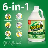 OdoBan Disinfectant Laundry & Air Freshener Concentrate, Original Eucalyptus, 1 Gallon, thumbnail image