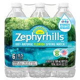 Zephyrhills Brand 100% Natural Spring Water, 6 ct, 16.9 oz, thumbnail image