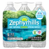 Zephyrhills Brand 100% Natural Spring Water, 6 ct, 16.9 oz, thumbnail image