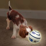 Pets Know Best Wobble Wag Giggle Glow-In-The-Dark Ball for Dogs, thumbnail image