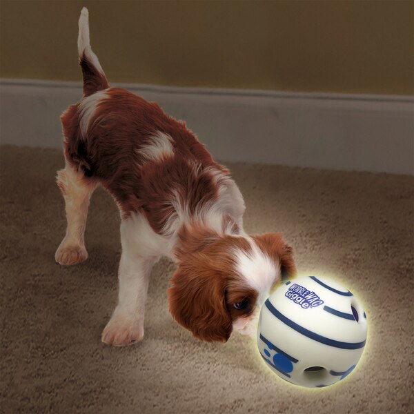 Pets Know Best Wobble Wag Giggle Glow-In-The-Dark Ball for Dogs