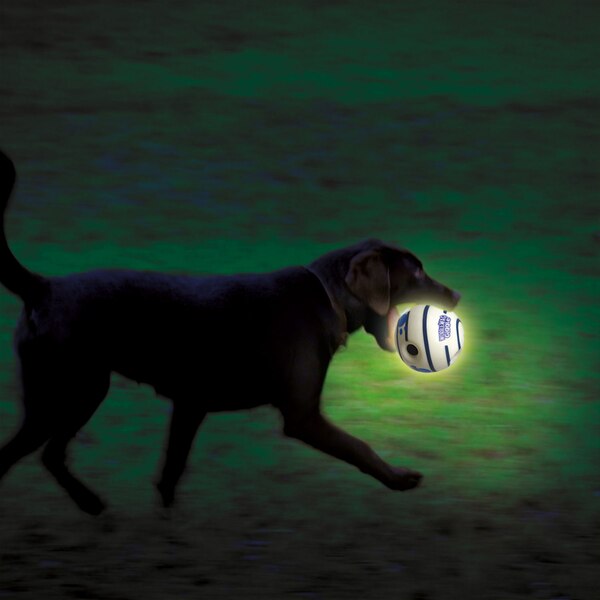 Pets Know Best Wobble Wag Giggle Glow-In-The-Dark Ball for Dogs