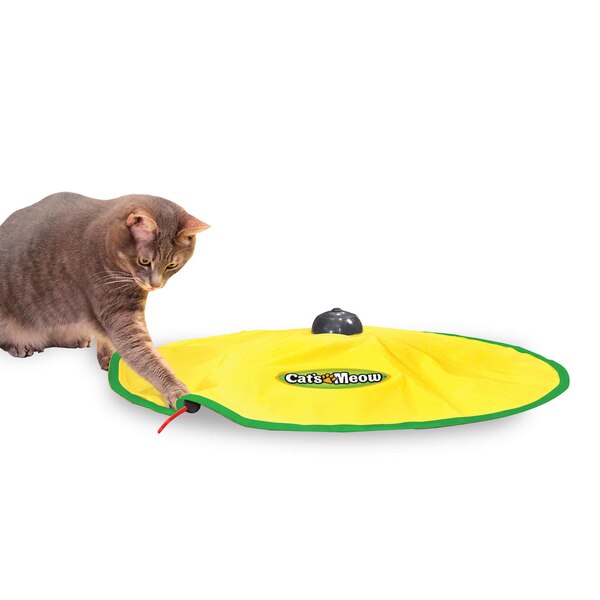 Pets Know Best Cat's Meow Deluxe Interactive Cat Toy