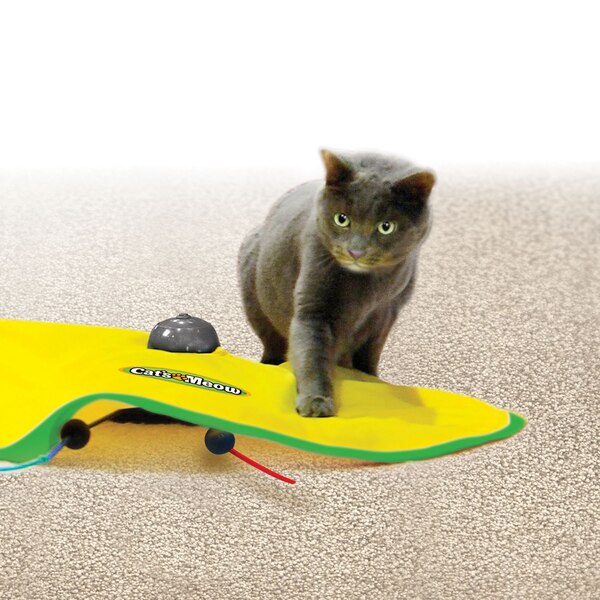 Pets Know Best Cat's Meow Deluxe Interactive Cat Toy