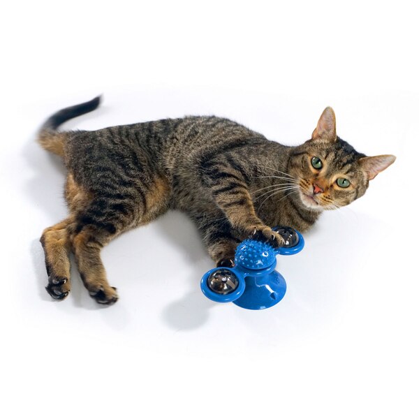 Pets Know Best Purrfect Spinner 2-in-1 Toy & Grooming Brush