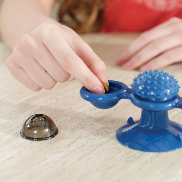 Pets Know Best Purrfect Spinner 2-in-1 Toy & Grooming Brush