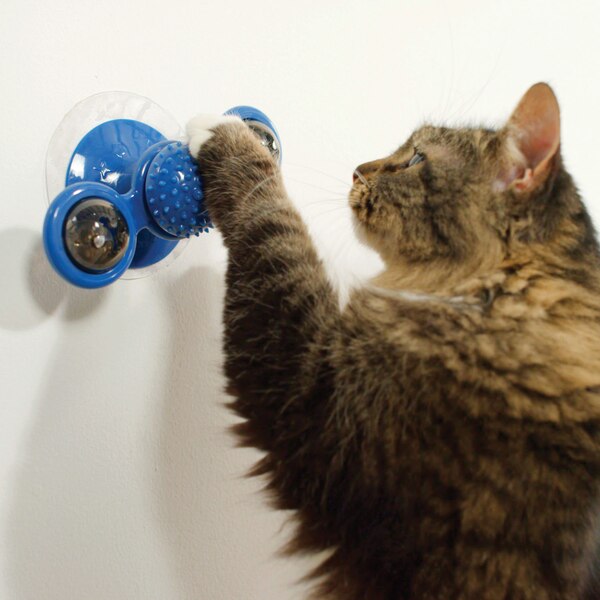 Pets Know Best Purrfect Spinner 2-in-1 Toy & Grooming Brush