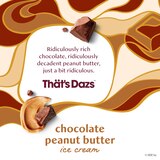 Haagen-Dazs Chocolate Peanut Butter Ice Cream, 14oz, thumbnail image
