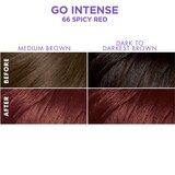 Dark & Lovely Go Intense! Ultra Vibrant Permanent Hair Color, thumbnail image