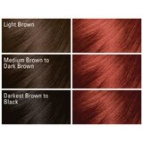 Dark & Lovely Fade Resist Permanent Hair Color, thumbnail image
