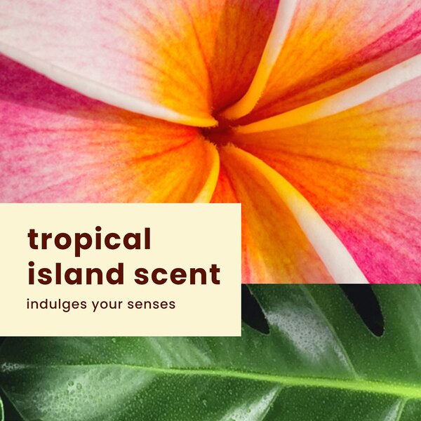 Hawaiian Tropic Silk Hydration Weightless Spray Sunscreen, 6 OZ