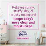 Little Remedies Sterile Saline Nasal Mist, Safe for Newborns, 2 fl oz, thumbnail image