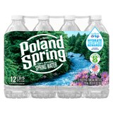 Poland Spring Brand 100% Natural Spring Water, 12 ct, 16.9 oz, thumbnail image