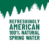 ORIGIN 100% Natural Spring Water, 30.4 OZ, thumbnail image