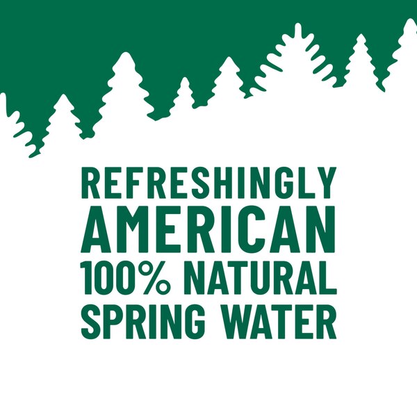 ORIGIN 100% Natural Spring Water, 30.4 OZ