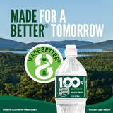 Poland Spring 100% Natural Spring Water Plastic Bottle, 24 ct, 16.9 oz, thumbnail image