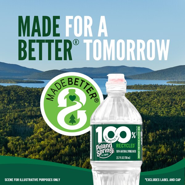 Poland Spring 100% Natural Spring Water Plastic Bottle, 24 ct, 16.9 oz