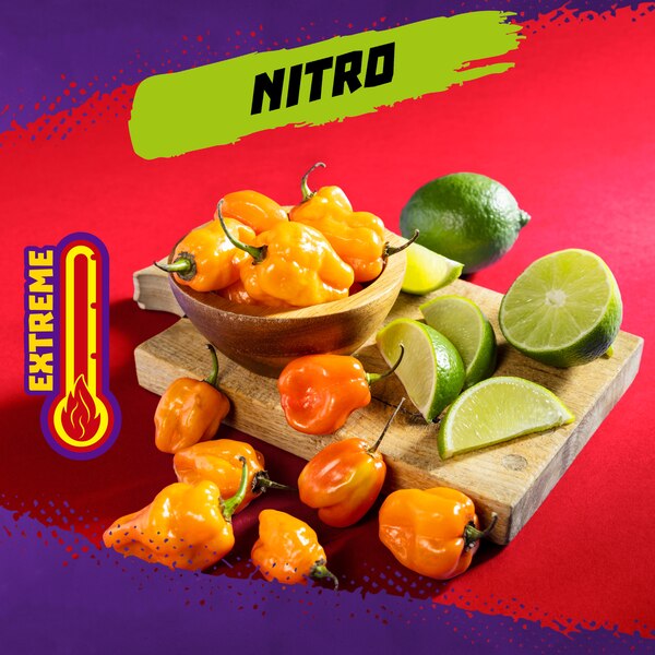 Takis Nitro Habanero & Lime Rolled Tortilla Chips