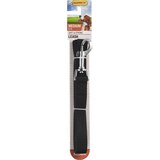 Ruffin' It Nylon Leash for Medium Dogs, 6 ft, thumbnail image