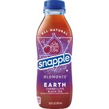 Snapple Elements Earth, 16 OZ, thumbnail image
