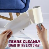 Scotch-Brite Pet Hair Pickup Lint Roller, 70 Sheets, thumbnail image 2 of 7