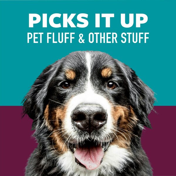 Scotch-Brite Pet Hair Pickup Lint Roller, 70 Sheets