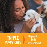 Good Dog by Wellness Happy Puppy Treats Lamb & Salmon Recipe, 3oz Bag, thumbnail image