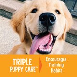 Good Dog by Wellness Happy Puppy Treats Lamb & Salmon Recipe, 3oz Bag, thumbnail image