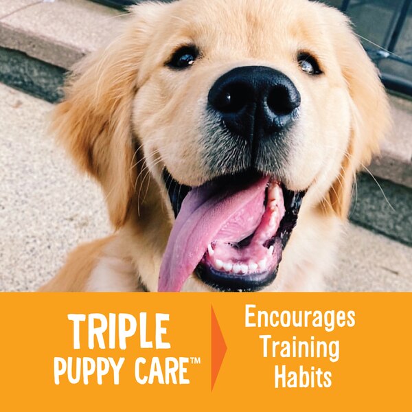 Good Dog by Wellness Happy Puppy Treats Lamb & Salmon Recipe, 3oz Bag