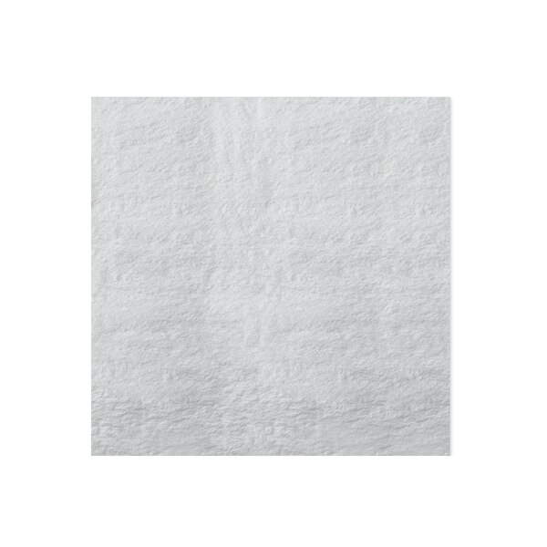 Hallmark Tissue Paper (Metallic Silver), 5 sheets