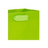 Hallmark 5-Pack Assorted Small Gift Bag Bundle (Solid Colors), thumbnail image