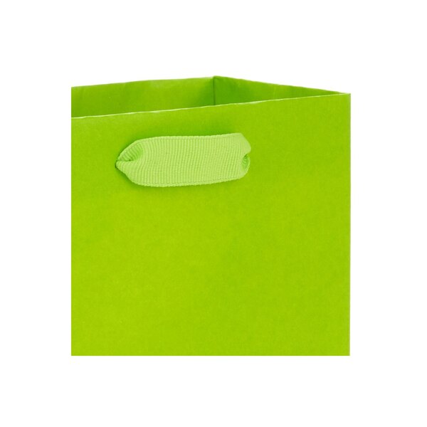 Hallmark 5-Pack Assorted Small Gift Bag Bundle (Solid Colors)