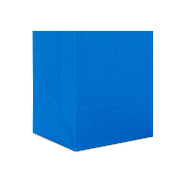 Hallmark 5-Pack Assorted Small Gift Bag Bundle (Solid Colors)