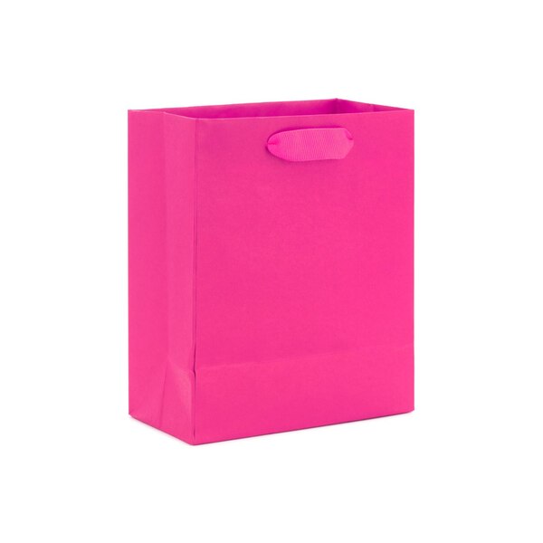 Hallmark Small Gift Bag (Hot Pink)