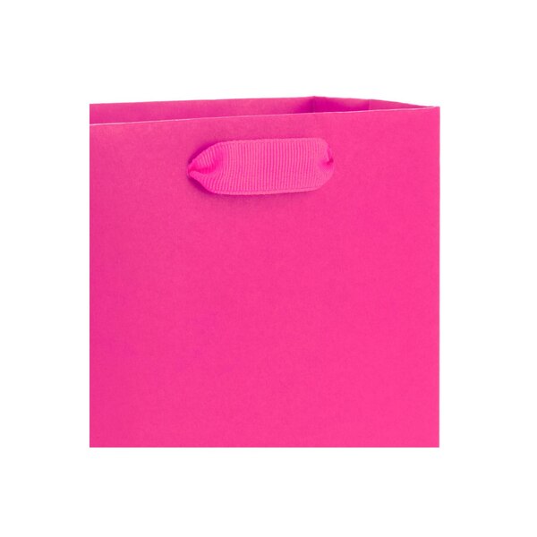 Hallmark Small Gift Bag (Hot Pink)