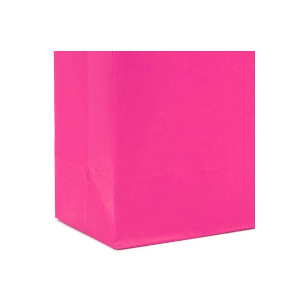 Hallmark Small Gift Bag (Hot Pink)