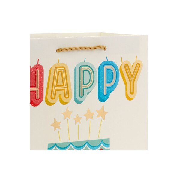 Hallmark Medium Birthday Gift Bag (Happy Cake Day)