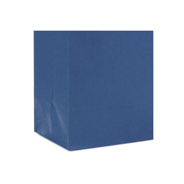 Hallmark Small Gift Bag (Navy Blue)