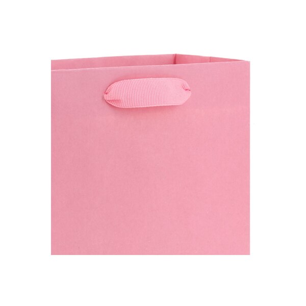Hallmark Small Gift Bag (Pink)