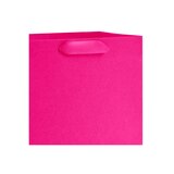 Hallmark Medium Gift Bag (Hot Pink), thumbnail image