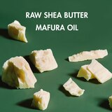 SheaMoisture Men Raw Shea Butter & Mafura Oil Moisturizing Shampoo, 15 OZ, thumbnail image