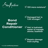 Shea Moisture Bond Repair Conditioner, 13 OZ, thumbnail image
