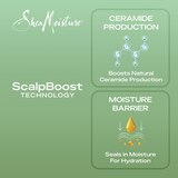 Shea Moisture Rosemary & Vegan Collagen Strengthening Scalp & Hair Oil, 2 OZ, thumbnail image