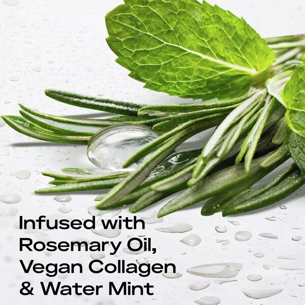 Shea Moisture Rosemary & Vegan Collagen Strengthening Scalp & Hair Oil, 2 OZ