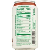 Sunchy Tamarind Nectar, 11.3 OZ, thumbnail image