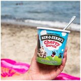Ben & Jerry's Ice Cream Pint, 16 OZ, thumbnail image