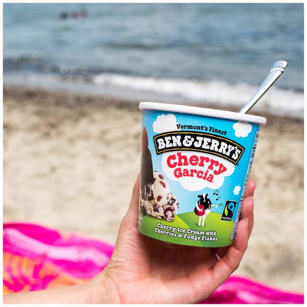 Ben & Jerry's Ice Cream Pint, 16 OZ
