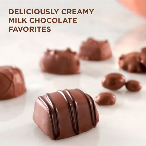 Russell Stover Milk Chocolate Assortment, 16 ct, 9.4 oz